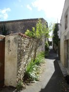 Photo n°1