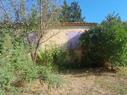 Photo n°3