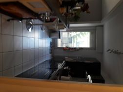 Photo n°4