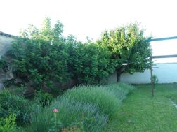 Photo n°9