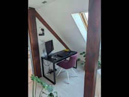 Photo n°5