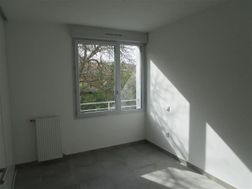 Photo n°6