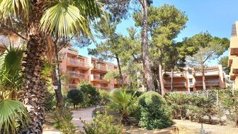 Photo n°4
