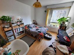 Photo n°2
