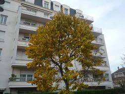 Photo n°13