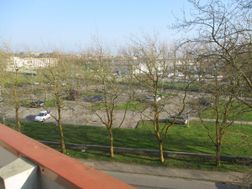 Photo n°5