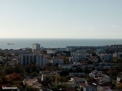 Photo n°3