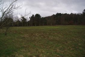 Photo n°3