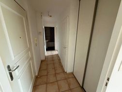 Photo n°4