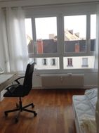 Photo n°6