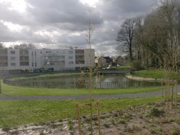 Photo n°1