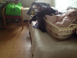 Photo n°1