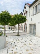 Photo n°3