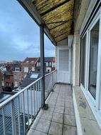 Photo n°5