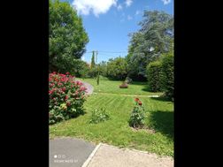 Photo n°4