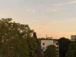 Photo n°4