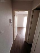 Photo n°6