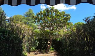 Photo n°8