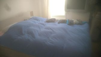 Photo n°1