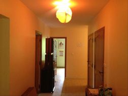 Photo n°6