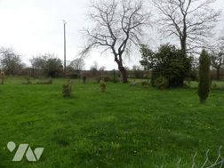 Photo n°3