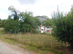 Photo n°5