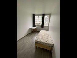 Photo n°6