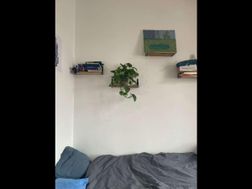 Photo n°1