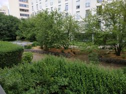 Photo n°1
