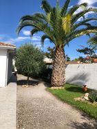 Photo n°4