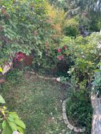 Photo n°6