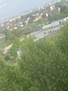 Photo n°5
