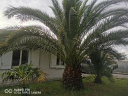 Photo n°3