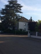 Photo n°6