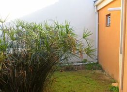 Photo n°2