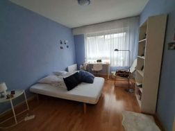 Photo n°6