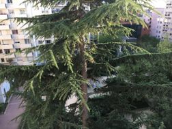 Photo n°1