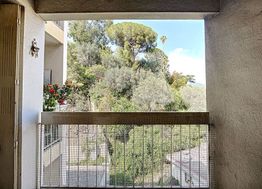 Photo n°9