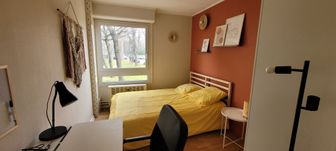 Photo n°2