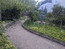 Photo n°6