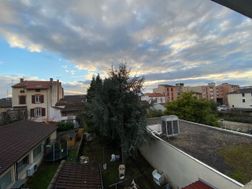 Photo n°2
