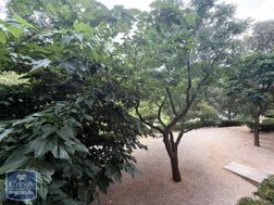Photo n°6
