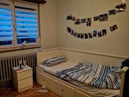 Photo n°1