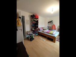 Photo n°7