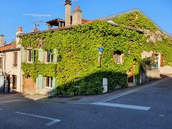 Photo n°6