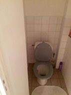 Photo n°4