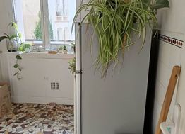 Photo n°4
