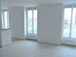Photo n°4