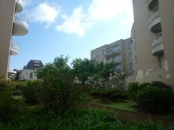 Photo n°2