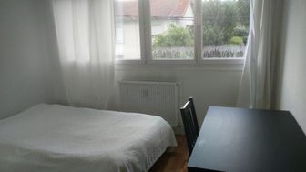 Photo n°3